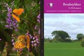 Bogreception - Brudstykker