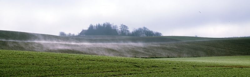 forårsmarker ved Mollerup